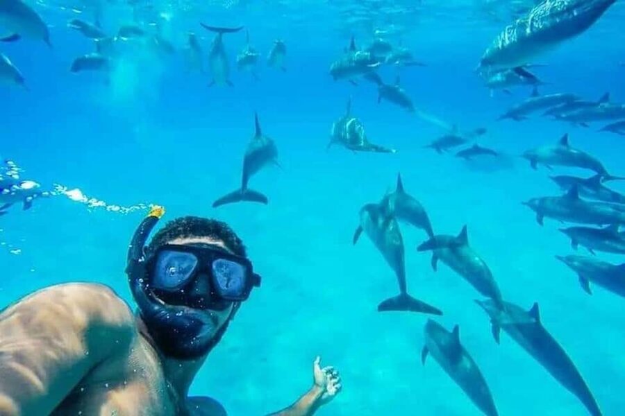 Hurghada: Dolphin & Coral Reef Snorkeling Tour with Lunch - Setting Out From Hurghada