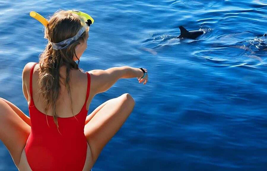 Hurghada: Dolphin Cruise with Snorkeling & Buffet Lunch - Setting out from Public Beach Number 9