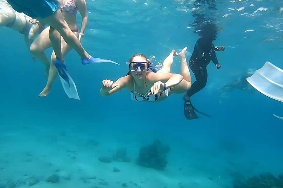 Hurghada: Dolphin Cruise with Snorkeling & Buffet Lunch - Lunch, soft drinks, and time on deck