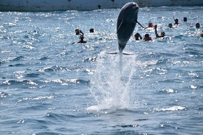 Hurghada Dolphin House: Full-Day Snorkeling & Boat Experience - A practical morning from Hurghada