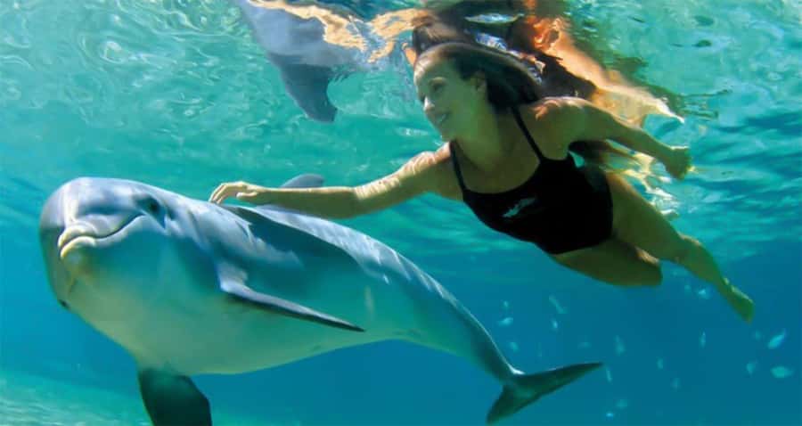 Hurghada: Dolphin watch Cruise with optional pickup - What the snorkeling stops are really like