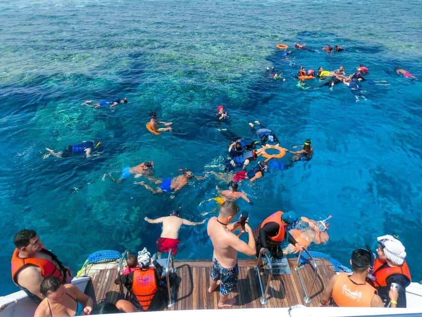 Hurghada: Dolphin Watching Boat Tour with Snorkeling & Lunch - Two snorkeling stops over Red Sea coral