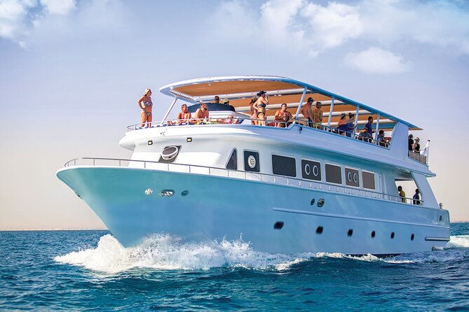 Hurghada: Dolphin World Show with Walruses and Pickup - A family show with more than dolphins