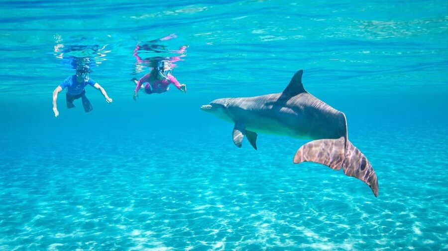 Hurghada or Makadi: Discover the Magic of Dolphin House - Key points to know before booking