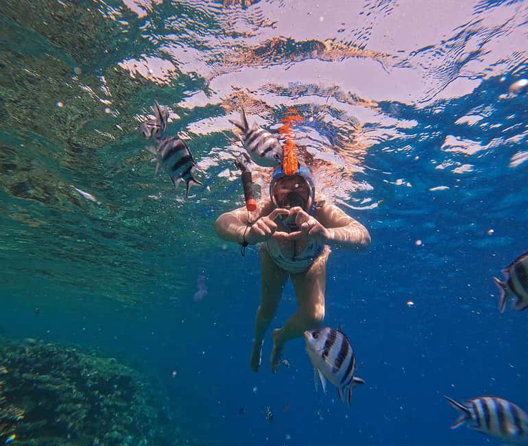 Hurghada or Makadi: Discover the Magic of Dolphin House - Lunch, fruit, and drinks included in the $27 price