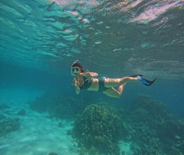 Hurghada or Makadi: Discover the Magic of Dolphin House - Who will get the most from this excursion