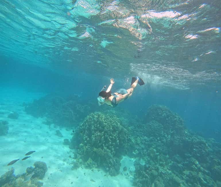 Hurghada or Makadi: Discover the Magic of Dolphin House - The final call: is Dolphin House worth booking?