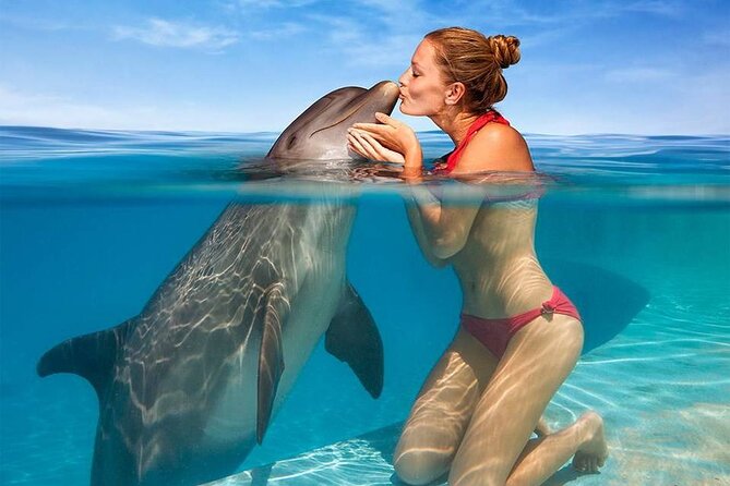 Hurghada: Private 4 Hours Speedboat Dolphin House Snorkling Tour - What happens at Dolphin House