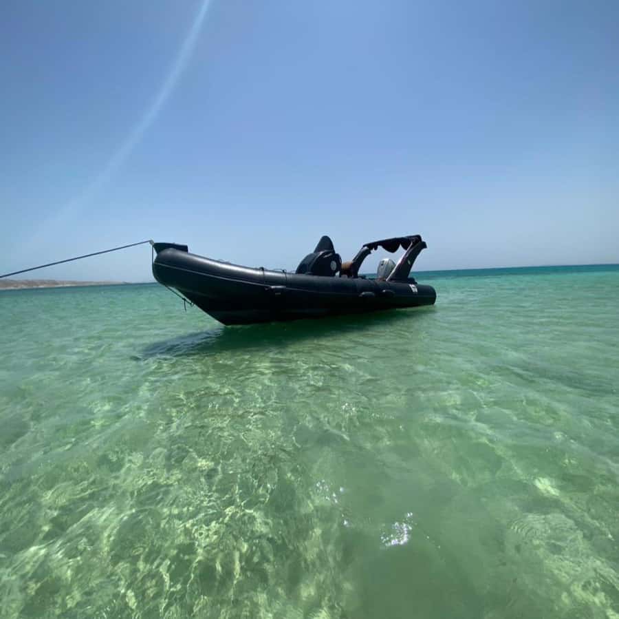 Hurghada: Private Speedboat to Dolphin House with Pickup - Why a private boat changes the Hurghada day