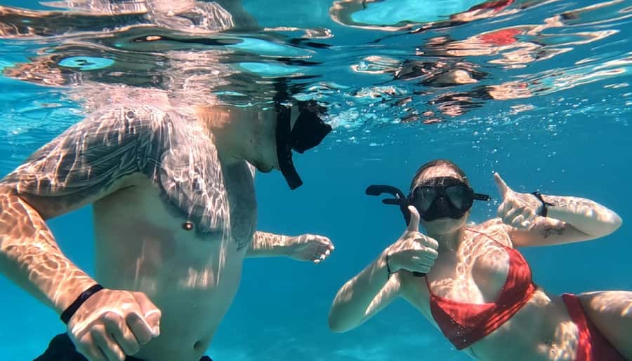 Hurghada: Private Speedboat to Dolphin House with Pickup - Coral reefs, manta rays, and the shipwreck