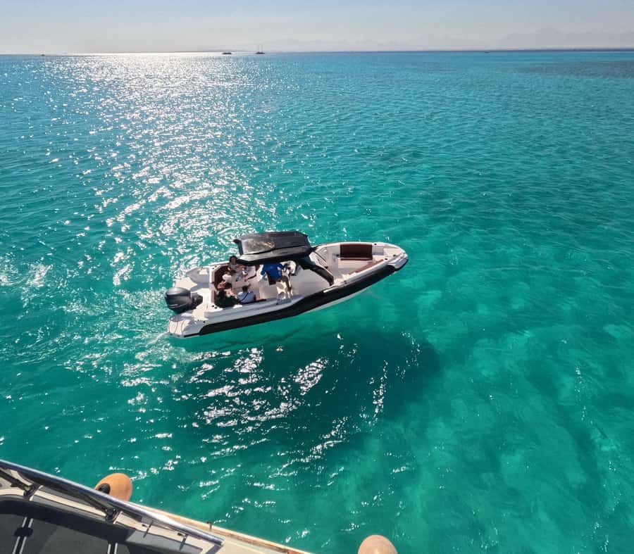 Hurghada: Speedboat Dolphin Watching & Snorkeling with Lunch - Two reef stops with help in the water