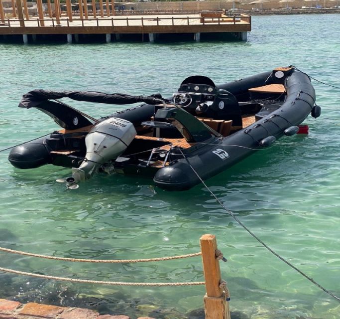Hurghada: Speedboat Dolphin Watching & Snorkeling with Lunch - How the speedboat changes the experience
