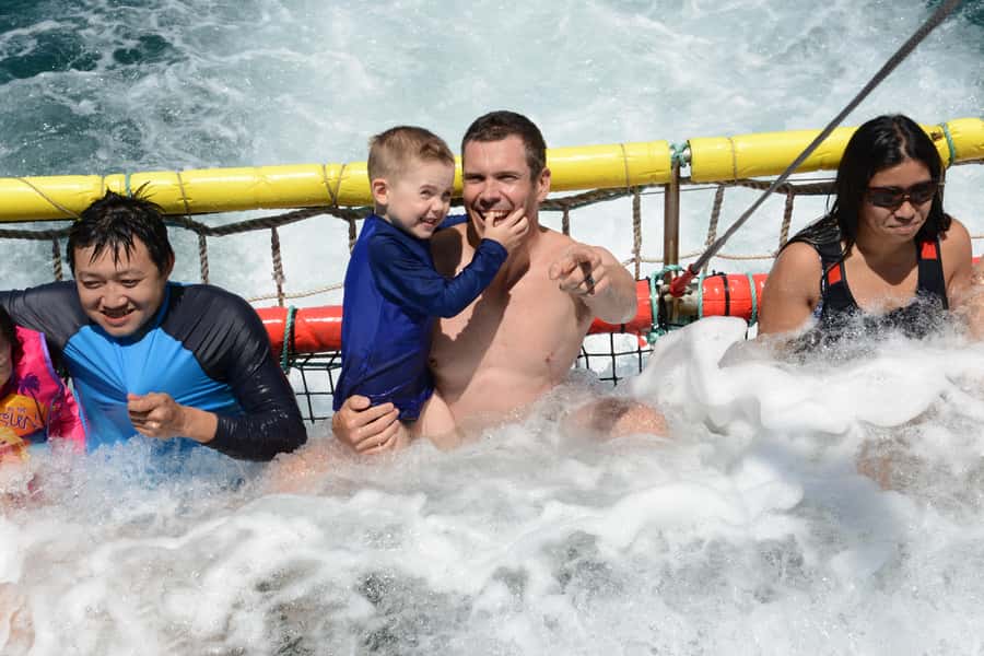 Huskisson: Dolphin Cruise & Boom Netting Experience - Starting at Huskisson Wharf