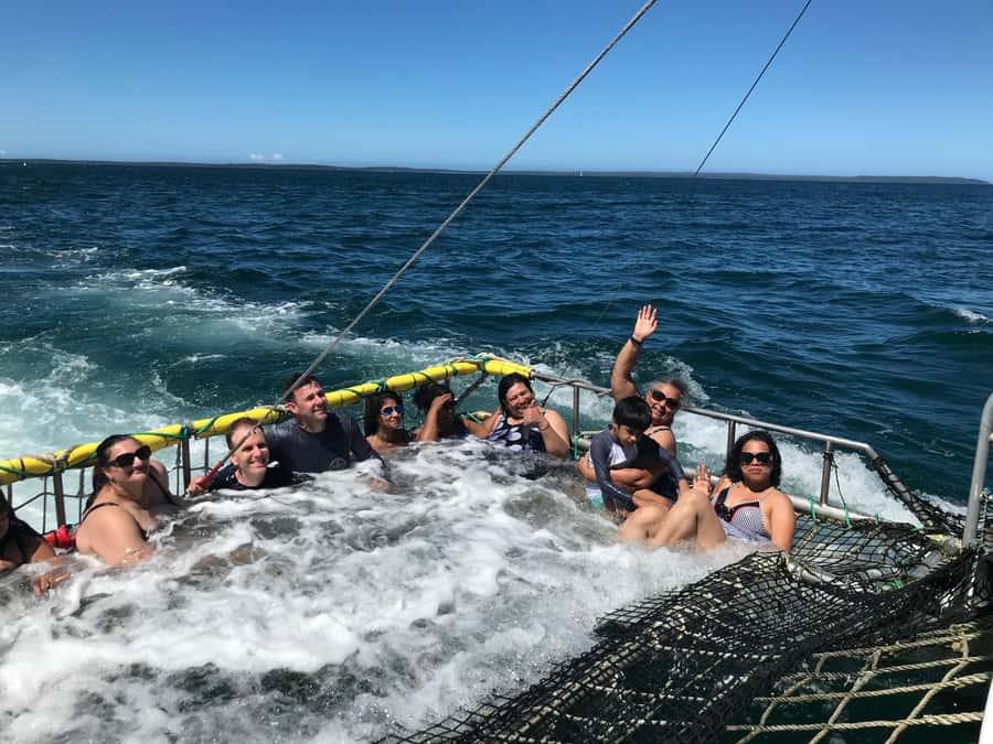 Huskisson: Dolphin Cruise & Boom Netting Experience - A Good Choice for Families and Groups
