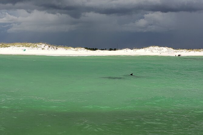 Hydro Rocket Dolphin Sightseeing Boat Tour from Destin - Key points to know before you book