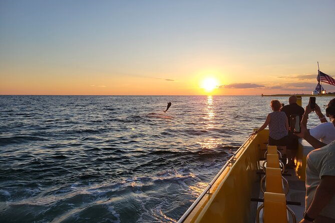 Hydro Rocket Dolphin Sightseeing Boat Tour from Destin - Weather, cancellations, and practical planning