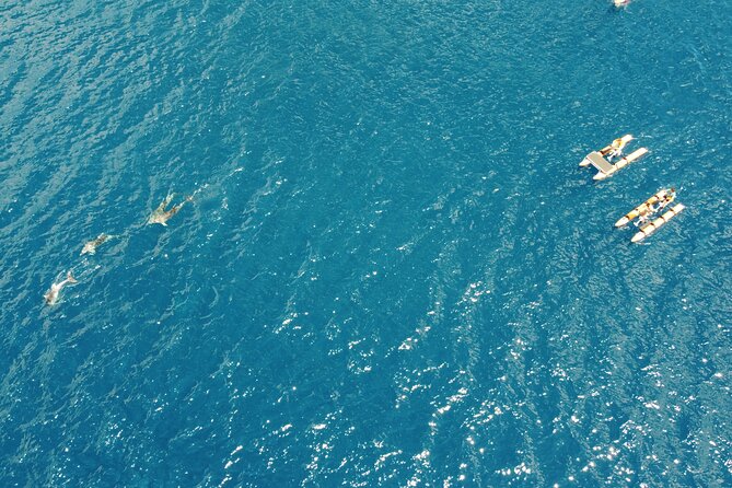 Hydrobike tour with aperitif and dolphins - A Sardinian aperitif beside the water