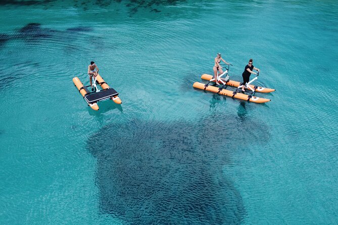 Hydrobike tour with aperitif and dolphins - What the $71.47 price delivers