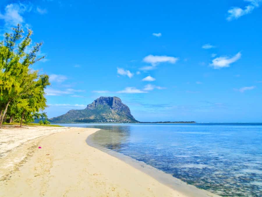 Île aux Bénitiers: Snorkeling w/Dolphins Boat Tour & Lunch - Who will get the most from this excursion