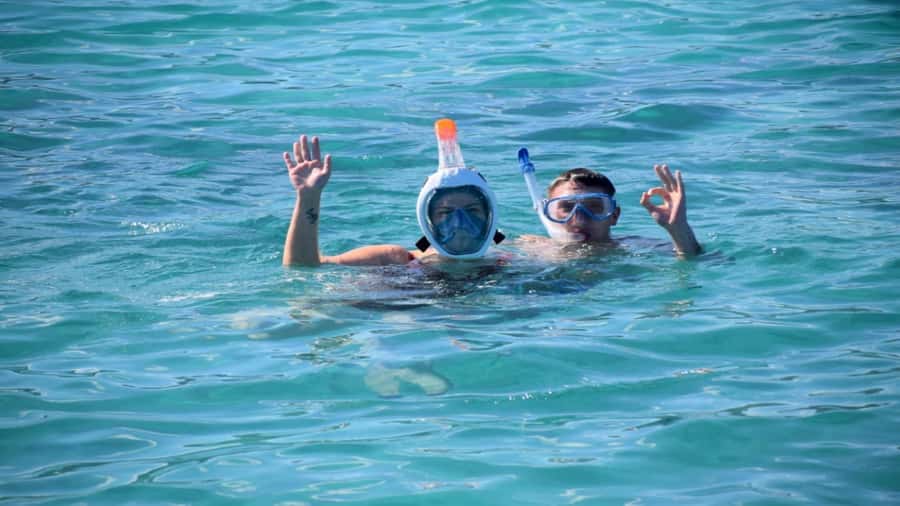 Île aux Bénitiers Snorkeling with Dolphins + Seafood Lunch - Meeting dolphins in the southwest lagoon