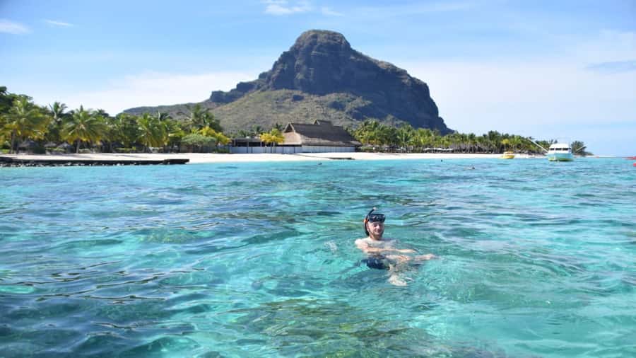 Île aux Bénitiers Snorkeling with Dolphins + Seafood Lunch - What $80 buys you