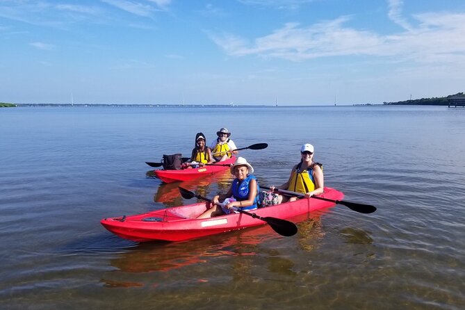 Indian River Clear Bottom Kayak or Paddleboarding Manatee and Dolphin Tour - What the 90-minute paddle is like