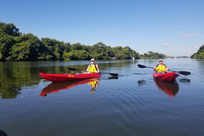 Indian River Clear Bottom Kayak or Paddleboarding Manatee and Dolphin Tour - Timing your outing for better odds