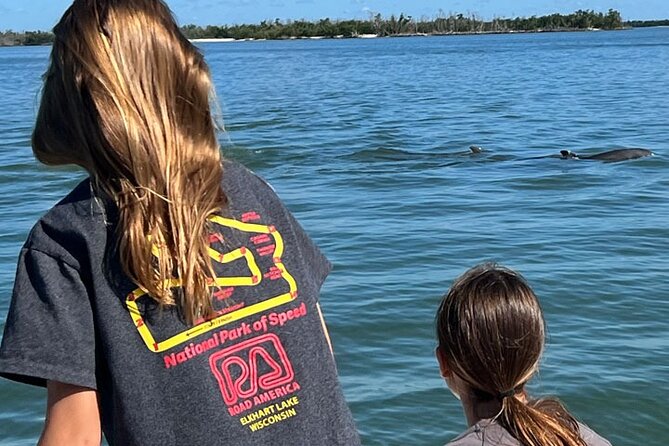 Island Paradise: Dolphin, Shelling, Birding Eco Boat Tour - The Barrier-Island Beach Stop