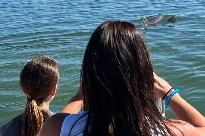 Island Paradise: Dolphin, Shelling, Birding Eco Boat Tour - Who Will Enjoy This Tour Most?