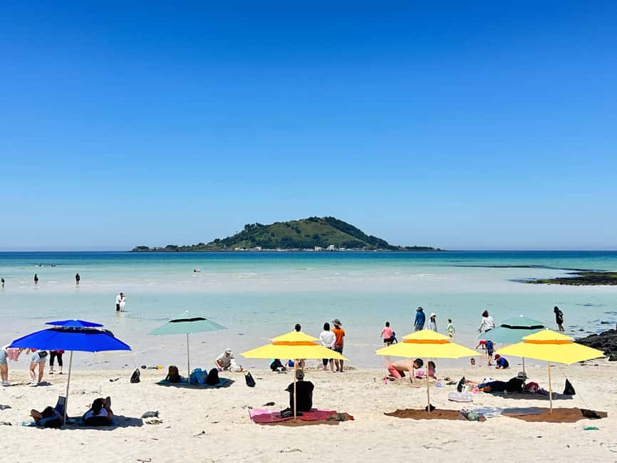 Jeju West: Small Group Healing Tour w/Caves & Dolphins - A full western Jeju day without the usual rush