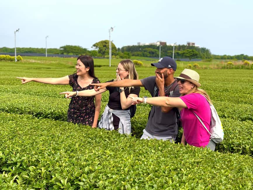 Jeju West: Small Group Healing Tour w/Caves & Dolphins - Conch Park and the search for Jeju dolphins