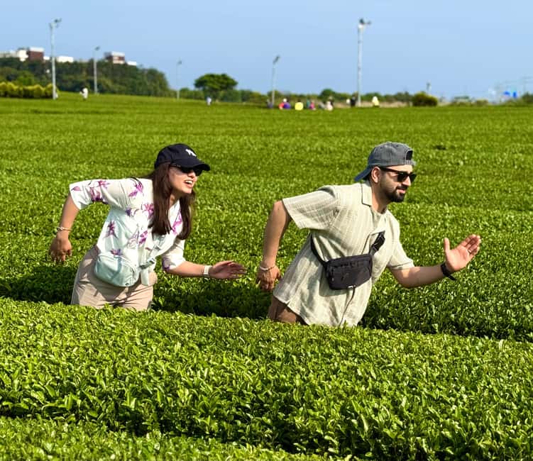 Jeju West: Small Group Healing Tour w/Caves & Dolphins - Suwolbong, where Jeju’s volcanic story is exposed