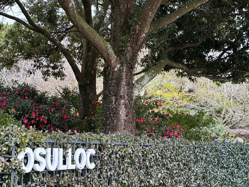 Jeju West: Small Group Healing Tour w/Caves & Dolphins - Hallim Park: gardens, village scenes, and lava tubes