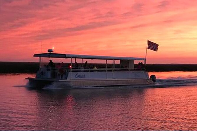 Jekyll Island Dolphin Tours - What you may see besides dolphins