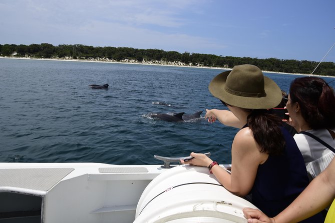 Jervis Bay Dolphin Cruise - Searching for dolphins in the open bay