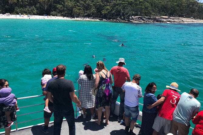 Jervis Bay Dolphin Cruise - Seating, children, and comfort on board