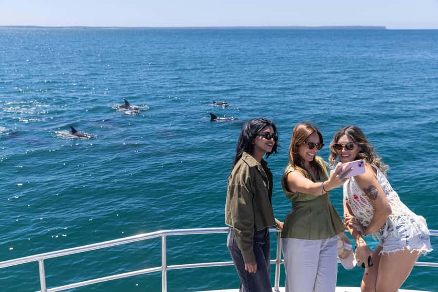 Jervis Bay Dolphin Cruise, Lunch, Berry&Kiama Blowhole Tour - The Jervis Bay dolphin cruise