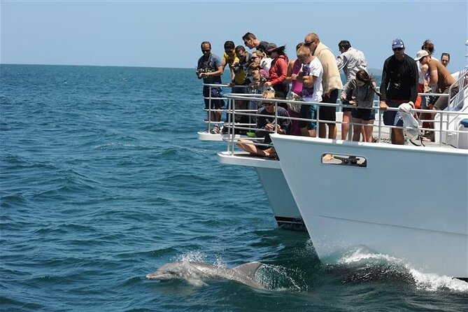 Jervis Bay Dolphin Cruise - Why the marine park matters