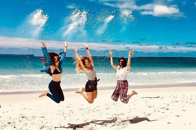 Jervis Bay Tour with Dolphins, Kangaroos & World's Whitest Beach - Key points to know before booking