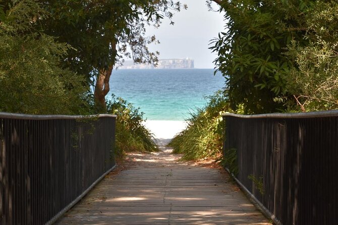 Jervis Bay Tour with Dolphins, Kangaroos & World's Whitest Beach - Leaving Sydney at 7:00 am