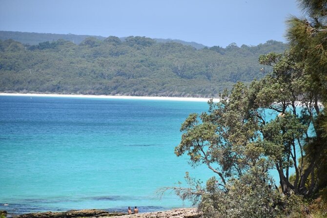Jervis Bay Tour with Dolphins, Kangaroos & World's Whitest Beach - Huskisson gives you a useful lunch break
