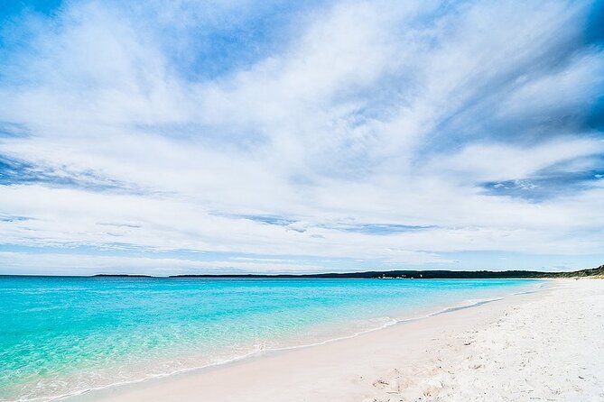 Jervis Bay Tour with Dolphins, Kangaroos & World's Whitest Beach - Cruising Jervis Bay for wild dolphins