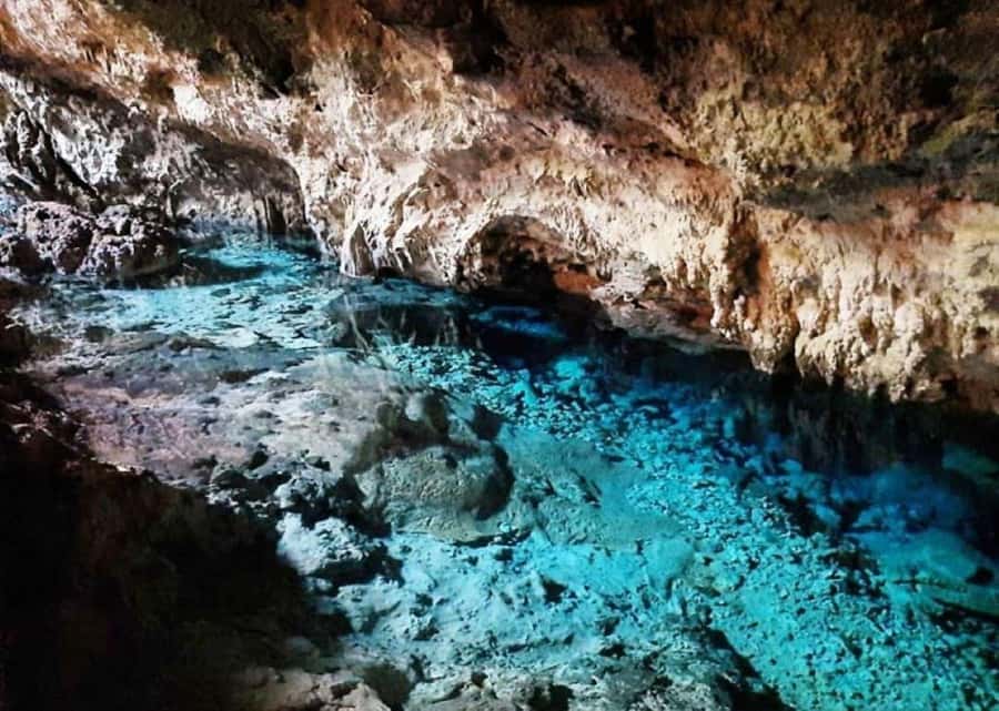 Jozani Forest Tour, Kuza Cave Tour, Paje Beach, The Rock - What the private format adds to the price
