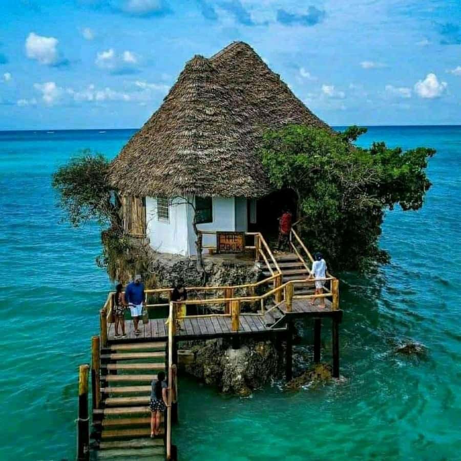 Jozani Forest Tour, Kuza Cave Tour, Paje Beach, The Rock - The dolphin boat trip is the day’s big thrill