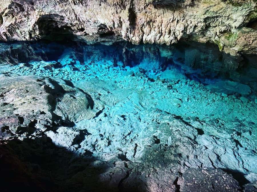 Jozani Monkey Tour, Kuza Cave Tour, Paje Beach, The Rock - Timing, comfort, and what to bring