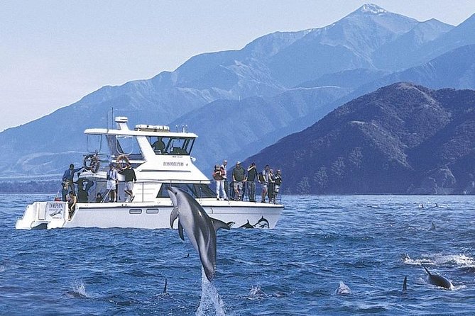 Kaikoura Swim with Dolphins Tour from Christchurch - From Christchurch to Kaikoura by coach