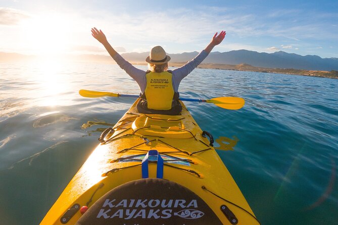 Kaikoura Swim with Dolphins Tour from Christchurch - The seal colony and extra marine life