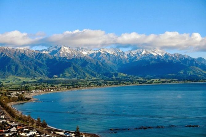 Kaikoura Swim with Dolphins Tour from Christchurch - Meeting the dusky dolphins in open water