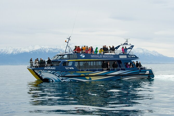 Kaikoura Whale and Dolphin Overnight Tour from Christchurch - Fur seals and the second marine outing