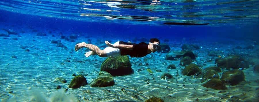 Kailua Kona: Dolphin, Sea Cave and Captain Cook Snorkel Tour - A fast ride along the Kona coast